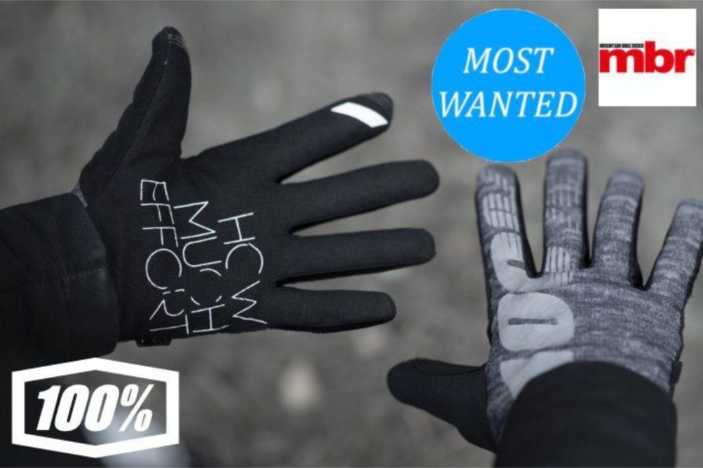 100% Brisker Gloves