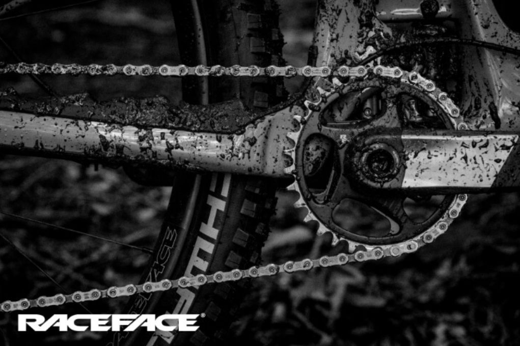 Era Chainring