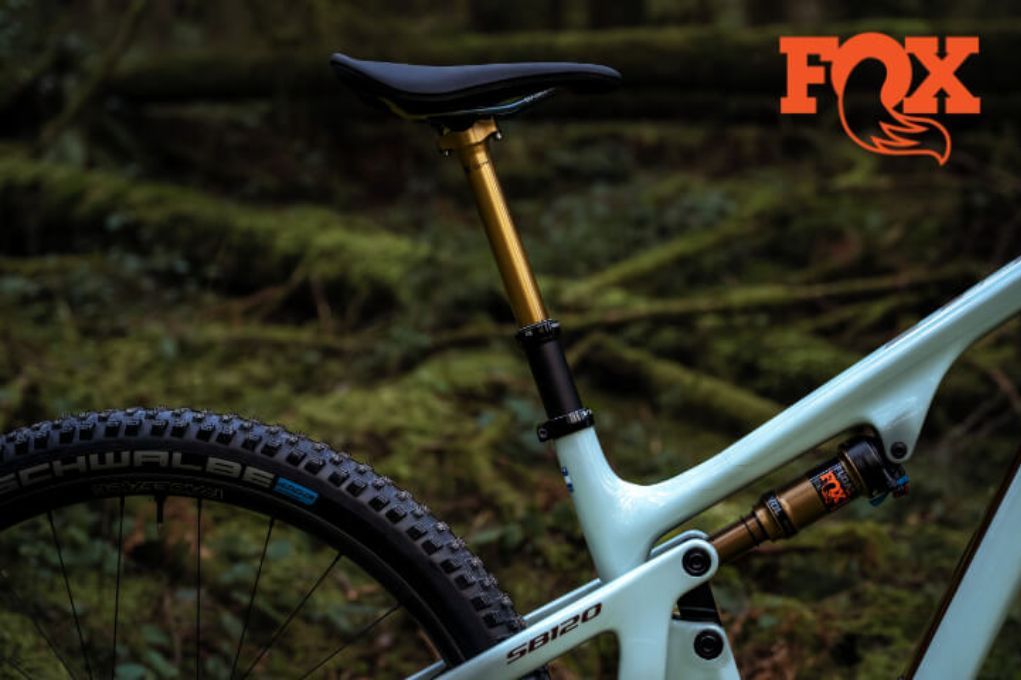 Fox Transfer SL