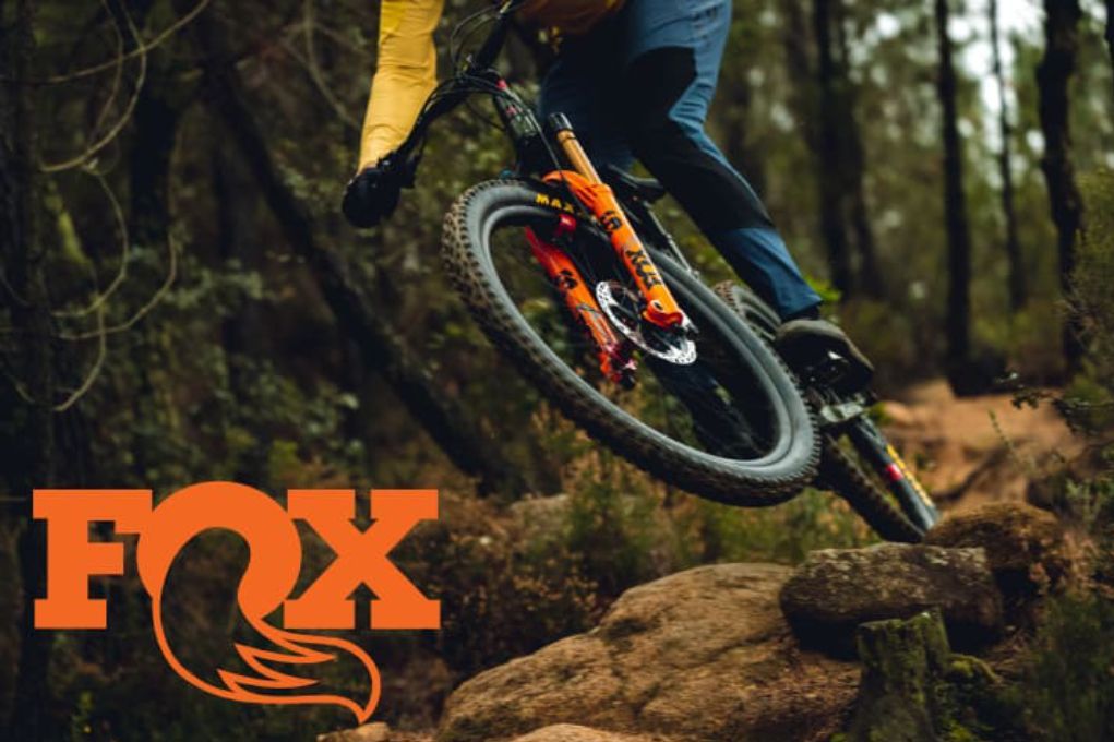 Fox 36 Fork