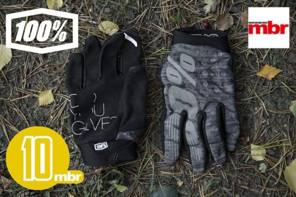 100% Brisker Gloves