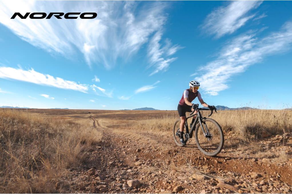 Norco Search Bike