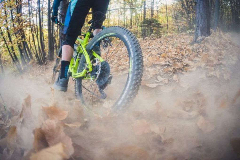 Michelin Wild Enduro Tyre