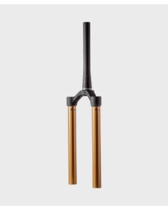 Fox Fork 38 180mm Max 15x110 Kashima 1.5 Taper58 HT C Service Kit