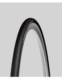Michelin Lithion 3 Tyre